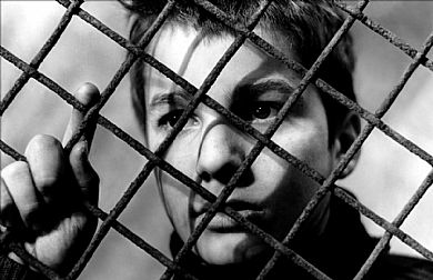 Ciclo de cine sobre Franois Truffaut, del  6 de mayo al 24 de junio 